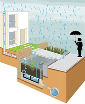 infographic-watervertragende-groenstrook-dienst-Zuidas