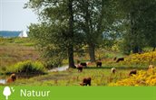 Natuur