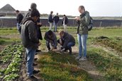 Pb. 61 Studenten proeven zilte teelt