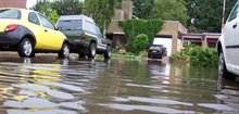 Organiseren water-tuindag beste idee tegen wateroverlast