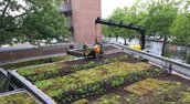 foto -fianciele prikkels voor klimaatadptatie- Rooftop Revolution - Schinkelhavenkade aanleg_formaat rapport