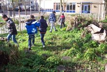 Groen draagt bij aan sociale cohesie
