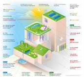 Factsheet groene daken