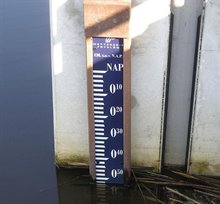 Waterpeil Special - ‘Publiek kan tekort en teveel aan water niet met elkaar rijmen’