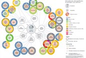 bollenschema natter 2018