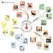 Deze mindmap toont de gevolgen van hitte in de stad, verdeeld over vijf thema's.