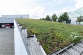 SG_Stockfoto-klimaatadaptatie-121