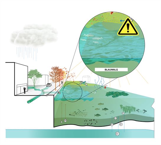 Biologische Effecten - Hoe Beïnvloedt Klimaatverandering Het Leven In ...