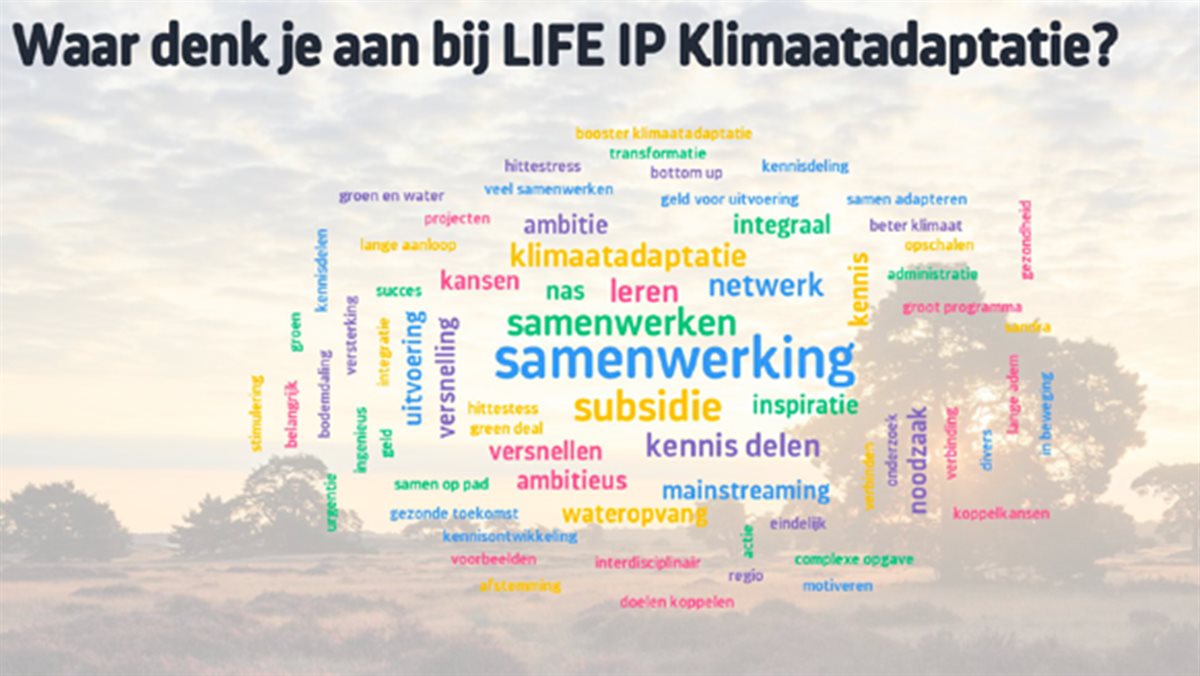 Vliegende Start LIFE-IP Klimaatadaptatie - Klimaatadaptatie