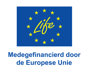 NL V Medegefinancierd door de Europese Unie_POS