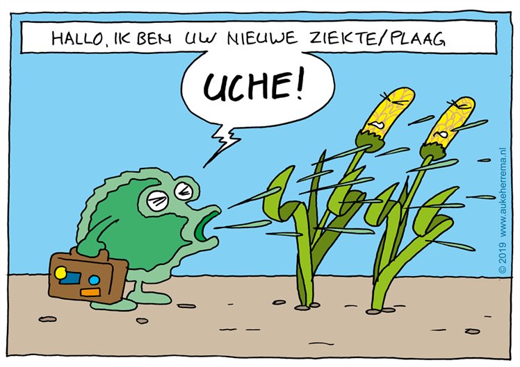 Cartoon over ziekte/plaag bij gewassen