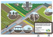 afbeelding illustratie akkerbouwers