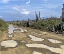 Plassen in weg Bonaire.bijgesneden2