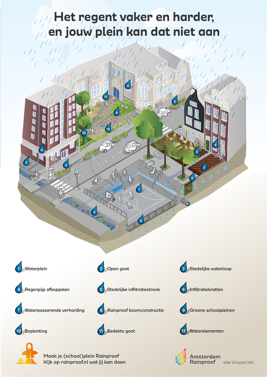 Infographic van Amsterdam Rainproof met een overzicht van maatregelen om pleinen waterrobuust in te richten