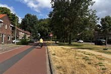 Droog gras