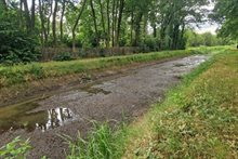 Drooggevallen sloot Hilvarenbeek