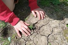 droogte kinderhanden kp