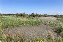 Droogte markerwadden