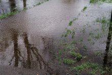 Wateroverlast door bodemdaling 4