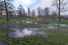 Wateroverlast met boomsterfte door bodemdaling 2