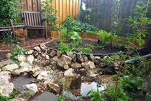 20250608 Volgelopen wadi in tuin 3 (Malou)