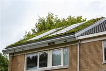 Foto 2 - 220240925 ROEF - Robèrt Kroonen