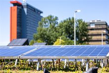 Foto 7 verkleind - groen-geel dak energie - Robèrt Kroonen