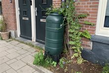 IMG_5581