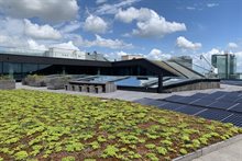 Groen dakterras met zonnepanelen bij bedrijf