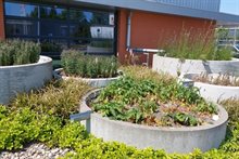 Raingarden op bedrijventerrein Groningen