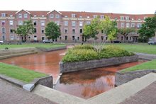 Floris BoogaardDSC_0040