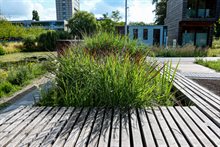 Foto 3 verkleind - BlueBloqs - Robèrt Kroonen