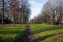 KP Beeldbank wadi Diemen