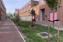 Wadi nijmegen
