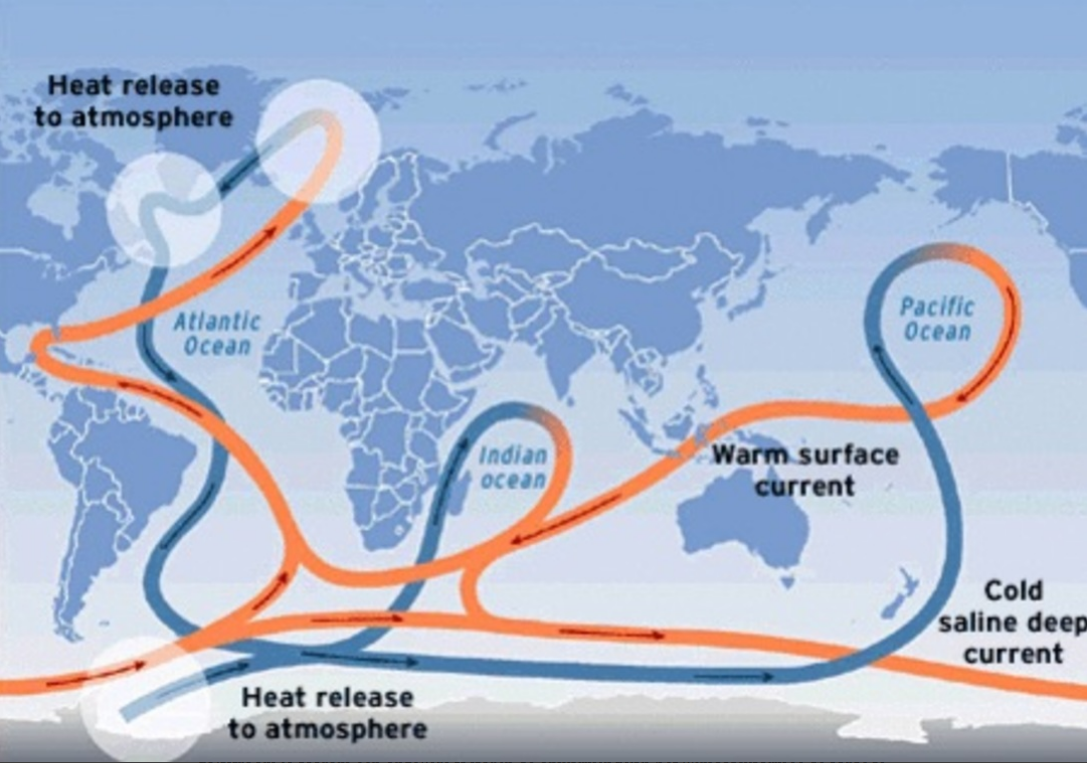 De AMOC: een wereldwijde transportband van oceaanwater waarvan de warme Golfstroom deel uitmaakt. Rood is de stroming aan of dicht bij het zeeoppervlak, blauw is de stroming in de diepzee.