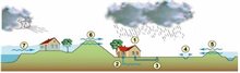 Watersysteem in Nederland