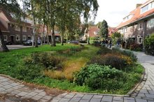 Natuurvriendelijke wadi in Betondorp