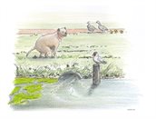 algengroei-in-groter-geheel-