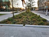 Prinses Irensestraat Amsterdam