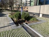 Raingarden Krimpenerwaard