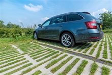 Afbeelding2 Doorgroeibare verharding