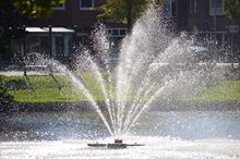 Floresvijver in Groningen