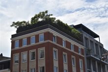 Afbeelding5 Daklandschap in Antwerpen Groter