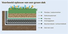 Figuur_Opbouw van een groen dak