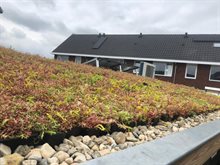 groendak-stichting-cas-2022-