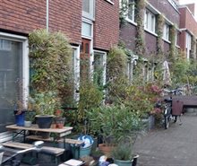 Groene muren houthavens