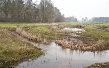 Zwolle-Overijssels Vechtdal - Vervaardiger (As, B. (Bert) van), RCE