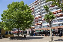 Boom in centrum van Diemen met een bankje eronder. Op de achtergrond zie je een flat met zonwering.