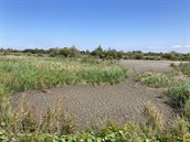 droogte-markerwadden_1_Beeldbank