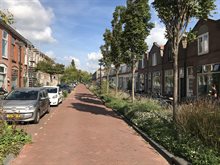 Noorderkwartier-Oost_Leiden_sep2023_Solcerova